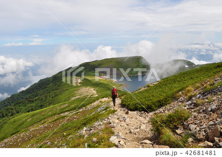 白馬大池へ向かう 白馬大池へ向かう 42681481