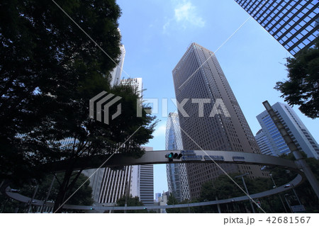 新宿警察署裏交差点 新宿警察署裏交差点 42681567