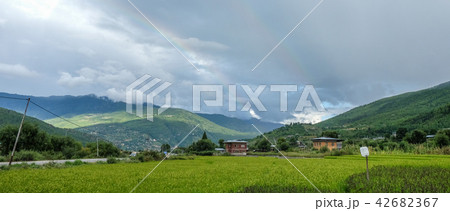 Paddy rice field in Bhutan Paddy rice field in Bhutan 42682367