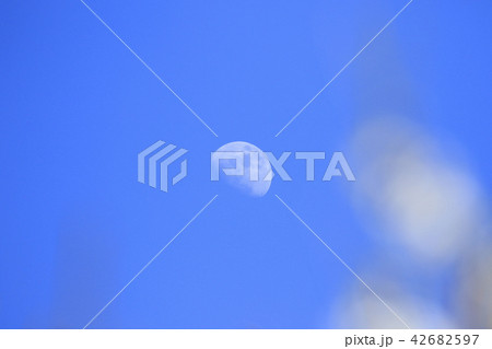昼の月 青空の花の前ボケ 昼の月 青空の花の前ボケ 42682597