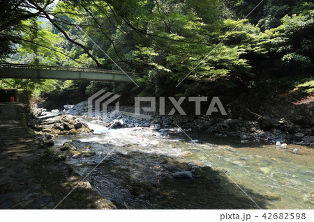 夏の清滝 夏の清滝 42682598