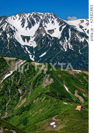 爺ヶ岳から望む残雪の立山と種池山荘 42682865