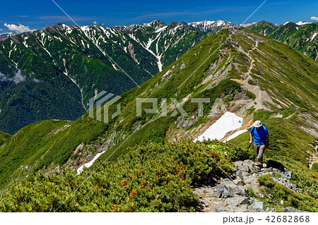 爺ヶ岳稜線を行く登山者と南峰・針ノ木岳の眺め 42682868