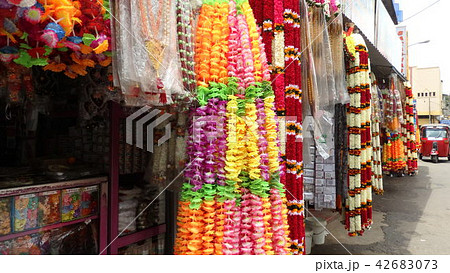 スリランカの仏花 42683073