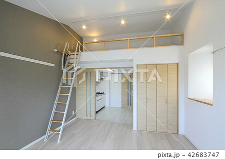 ワンルームマンション ロフト有り ワンルームマンション ロフト有り 42683747