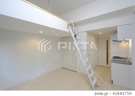 ワンルームマンション　ロフト有り 42683750