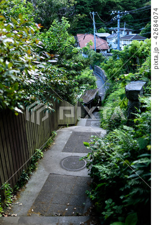 鎌倉 小道 鎌倉 小道 42684074