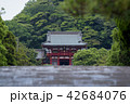 鎌倉　鶴岡八幡宮 42684076