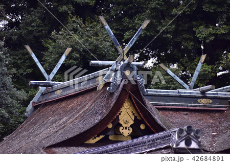 平野神社 本殿 平野神社 本殿 42684891