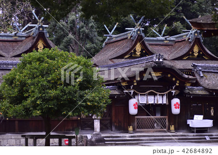 平野神社 本殿 平野神社 本殿 42684892