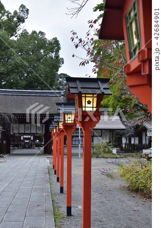 平野神社 楼門(東神門)と春日灯籠 平野神社 楼門(東神門)と春日灯籠 42684901
