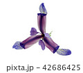 Blue iris flower isolated 42686425