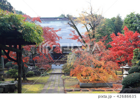 多福寺　紅葉 42686635