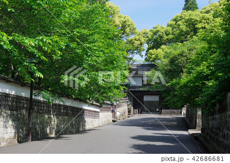 新緑の飫肥城大手門 新緑の飫肥城大手門 42686681