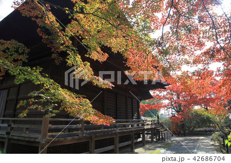 多聞寺　紅葉 42686704