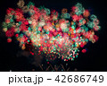 大輪の花 42686749