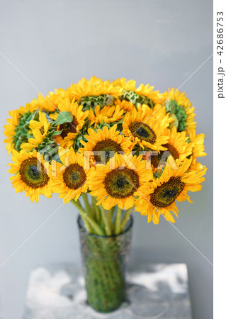 Bouquet of yellow sunflowers , flower in vase on old vintage table. Room morning. Gray background Bouquet of yellow sunflowers , flower in vase on old vintage table. Room morning. Gray background 42686753