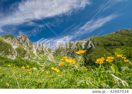 駒ケ岳 駒ケ岳 42687038