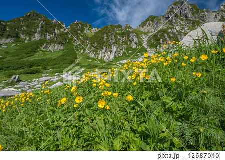 駒ケ岳 駒ケ岳 42687040