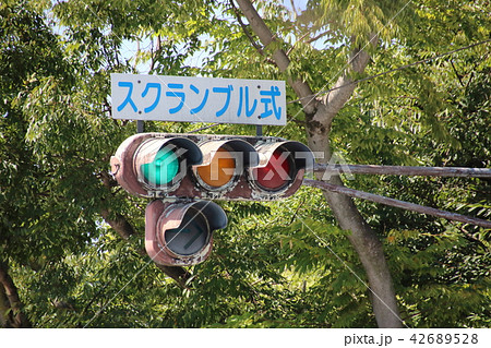「スクランブル式」の表示のある信号機。(スクランブル交差点) 42689528