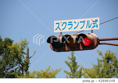 「スクランブル式」の表示のある信号機。(スクランブル交差点) 42690149