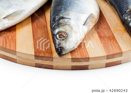 close up of fish head close up of fish head 42690243