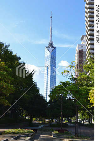 福岡　シーサイドももち　サザエさん通り周辺の景観 42690302