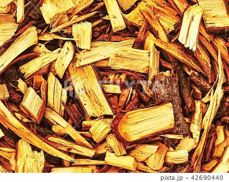 Sawdust detailed fragment. Natural raw material Sawdust detailed fragment. Natural raw material 42690440