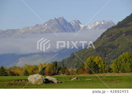 グレノーキー 42692455