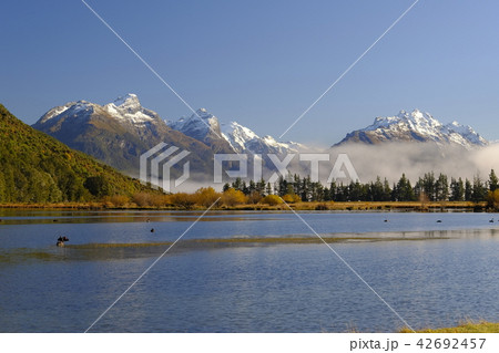 グレノーキー 42692457