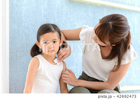 母娘 ライフスタイル 母娘 ライフスタイル 42692473