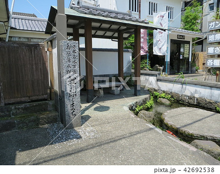 鯉の泳ぐまち City of Swimming Carp in Shimabara, Japan 鯉の泳ぐまち City of Swimming Carp in Shimabara, Japan 42692538