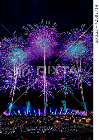 長岡まつり大花火大会 ~天地人花火~ 長岡まつり大花火大会 ~天地人花火~ 42692714