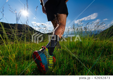 Walk in the meadow walk in the mountains Walk in the meadow walk in the mountains 42692873