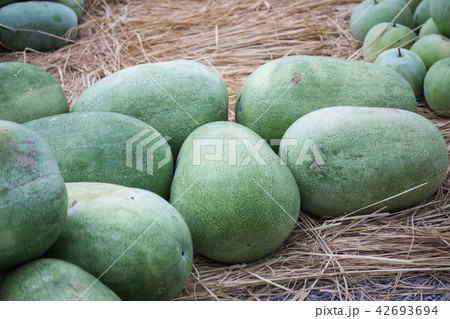 スイカ すいか 西瓜 42693694