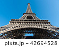 Eiffel Tower 42694528