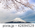 Sakura and Fuji Mt. 42694529