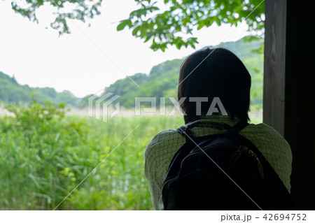栃木県那須塩原　ヨシ原湿地（7月） 42694752