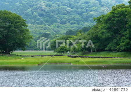 栃木県那須塩原 大沼園地 大沼(7月) 栃木県那須塩原 大沼園地 大沼(7月) 42694759