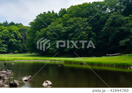 栃木県那須塩原 大沼園地 大沼(7月) 栃木県那須塩原 大沼園地 大沼(7月) 42694760