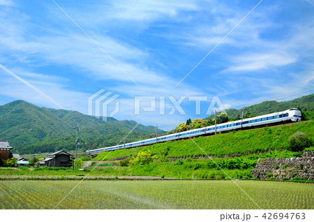近江高島付近を走る湖西線特急サンダーバード号 42694763