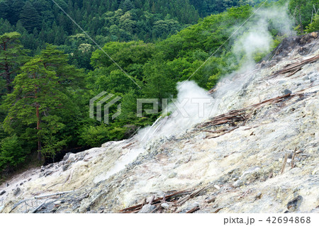栃木県那須塩原 奥塩原新湯爆裂火口跡(7月) 栃木県那須塩原 奥塩原新湯爆裂火口跡(7月) 42694868