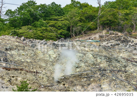 栃木県那須塩原 奥塩原新湯爆裂火口跡(7月) 栃木県那須塩原 奥塩原新湯爆裂火口跡(7月) 42695035