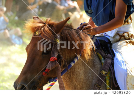 夏の八戸市 加賀美流騎馬打毬 夏の八戸市 加賀美流騎馬打毬 42695320