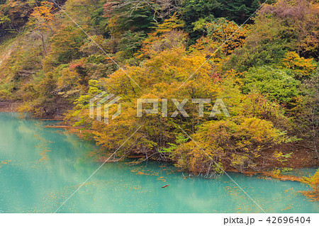 栃木県那須塩原 塩原渓谷(箒川渓谷)の紅葉(11月) 栃木県那須塩原 塩原渓谷(箒川渓谷)の紅葉(11月) 42696404