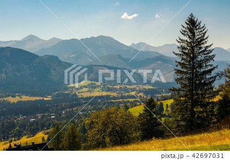 beautiful landscape of zakopane valley beautiful landscape of zakopane valley 42697031