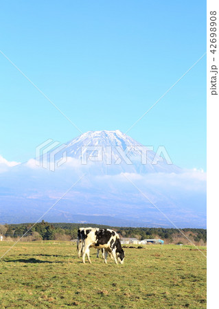 朝霧高原 42698908