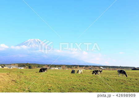 朝霧高原 42698909