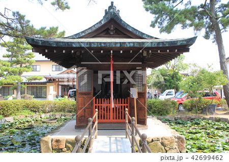 喜光寺・弁天堂と蓮 42699462