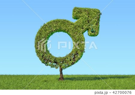 Tree shaped as male gender symbol 42700076